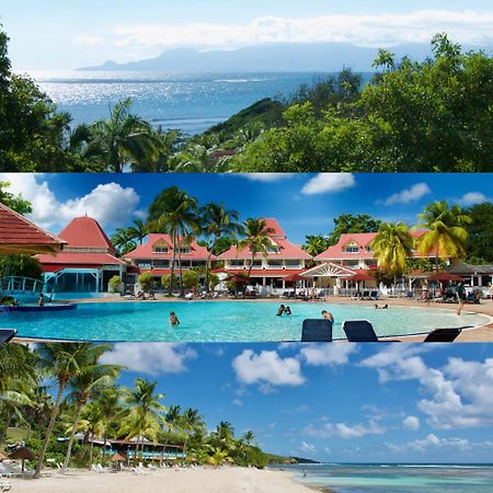 Studio Olia A P&V - Plages, Piscines Et Vue Mer! Sainte-Anne  Exterior photo